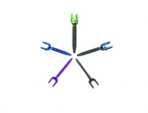 Spine Screws